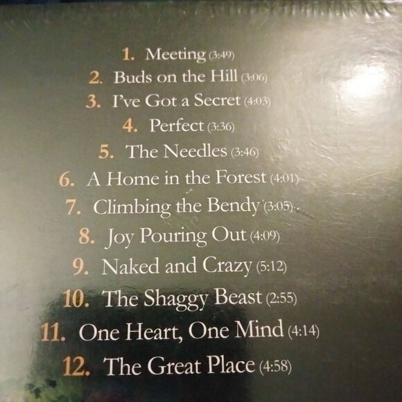 Dawn Remembers Too Far Rich Shapero Maria Taylor CD Album New Sealed - Picture 4 of 4